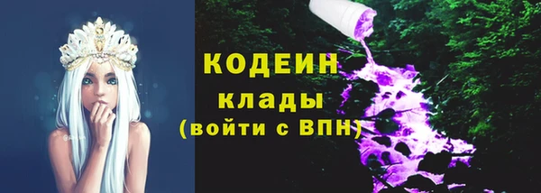 хмурый Дмитриев