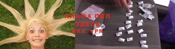 твердый Дмитров