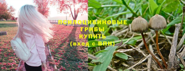 хмурый Дмитриев