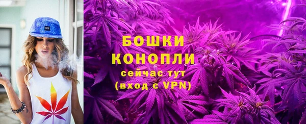 твердый Дмитров