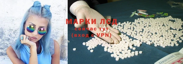 твердый Дмитров