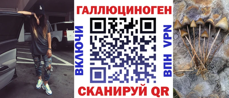 Псилоцибиновые грибы Psilocybe  KRAKEN ссылка  Славск 